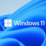 Windows 11